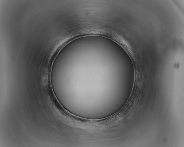 X0000091500012200708161508