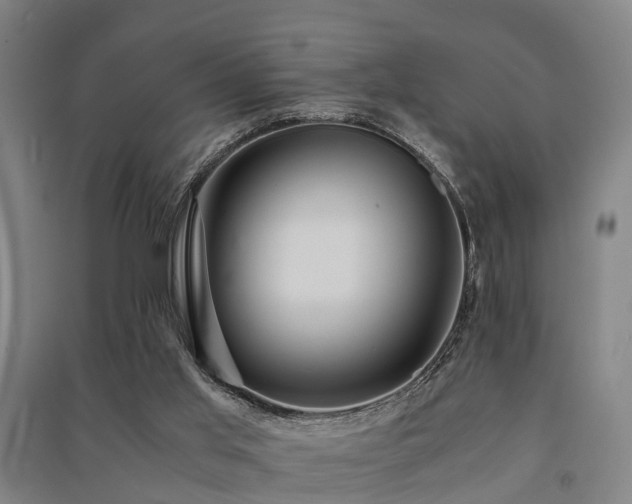X0000091500013200708161508