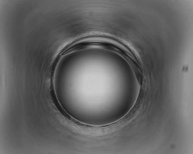 X0000091500015200708161508