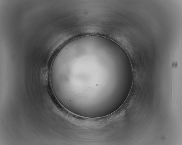 X0000091500016200708161508