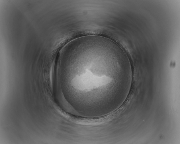 X0000091500017200708161508