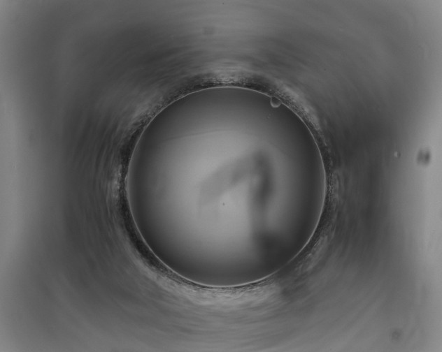 X0000091500018200708161508