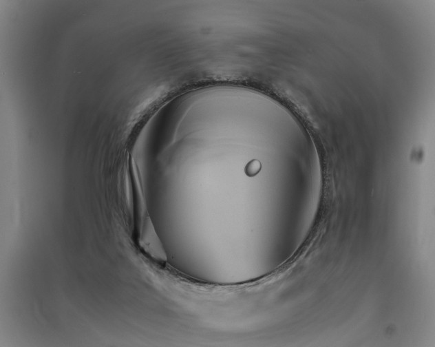 X0000091500019200708161508