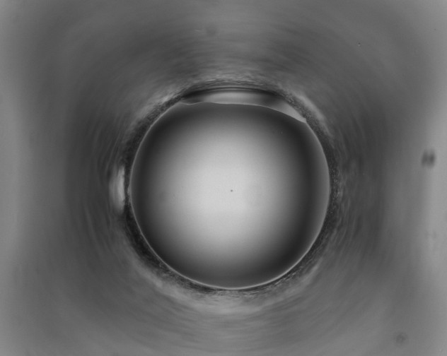 X0000091500020200708161508