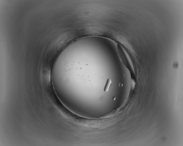 X0000091500021200708161508