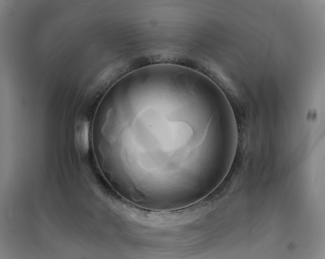 X0000091500022200708161508