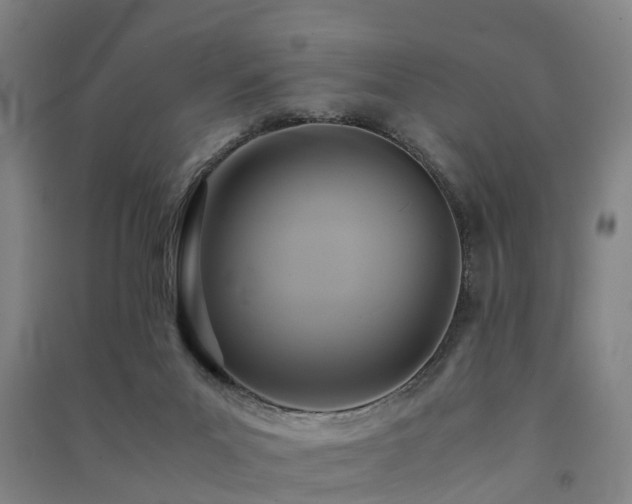 X0000091500023200708161508