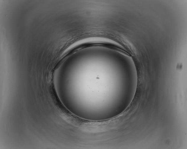 X0000091500025200708161508