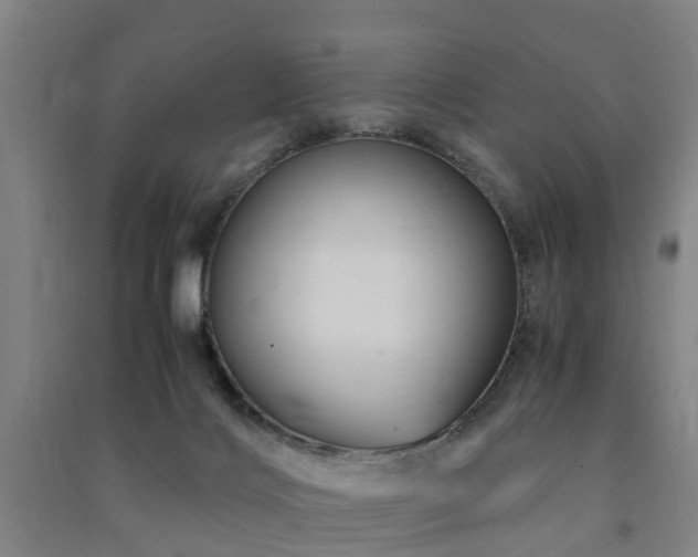 X0000091500028200708161507