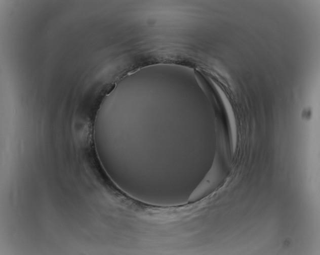 X0000091500029200708161507