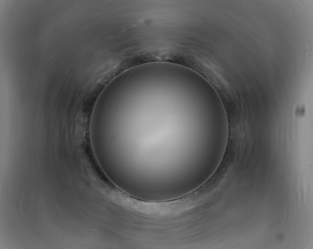 X0000091500030200708161507