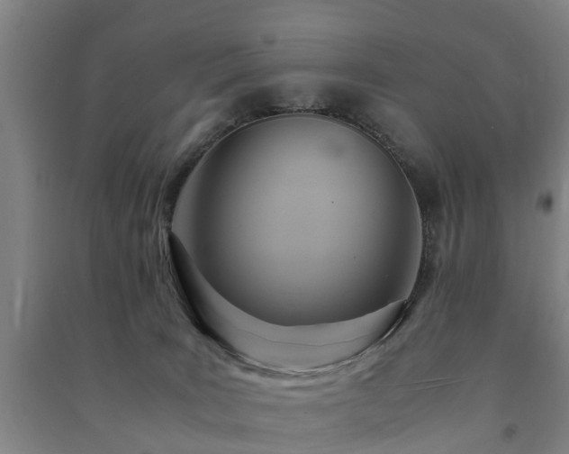 X0000091500035200708161507