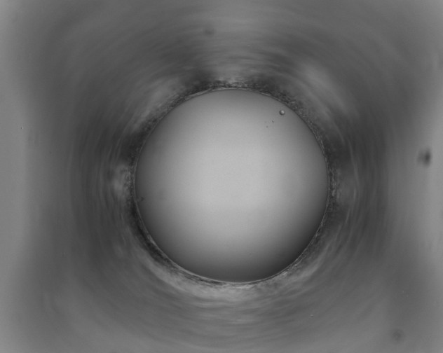 X0000091500036200708161507