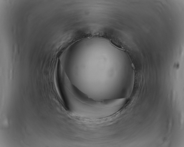 X0000091500039200708161507
