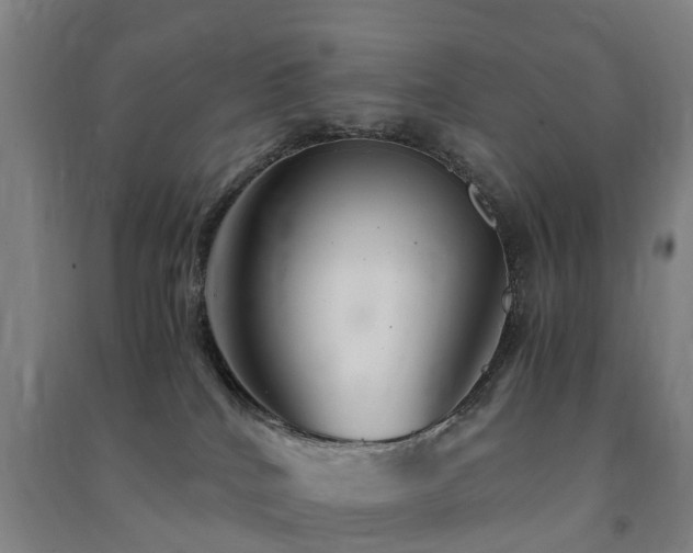 X0000091500040200708161507