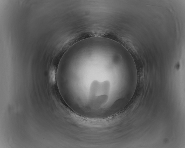 X0000091500042200708161507