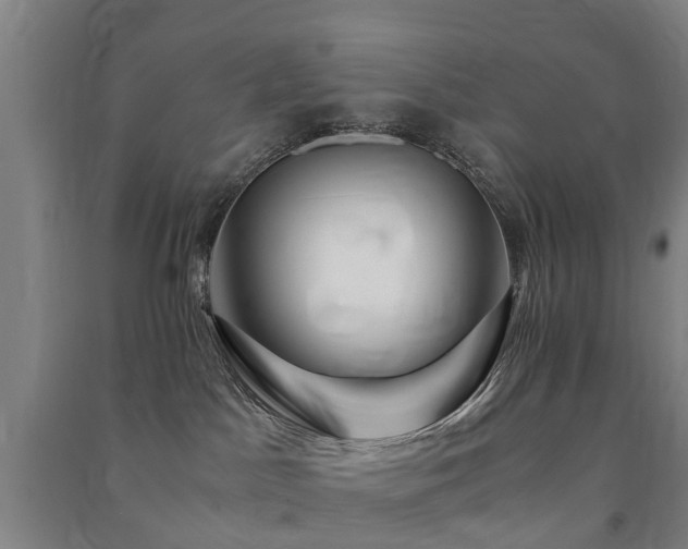 X0000091500045200708161507