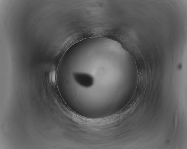 X0000091500046200708161507
