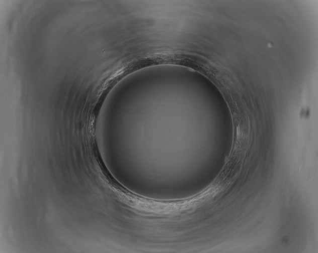 X0000091500048200708161507
