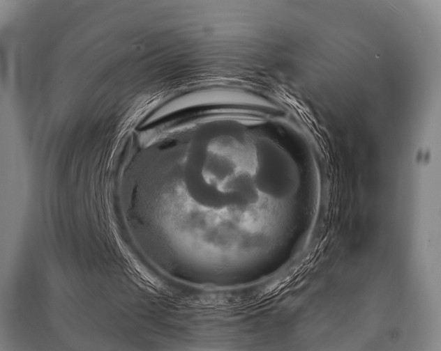 X0000091500049200708161507
