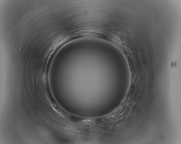 X0000091500050200708161507