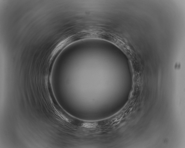 X0000091500051200708161507