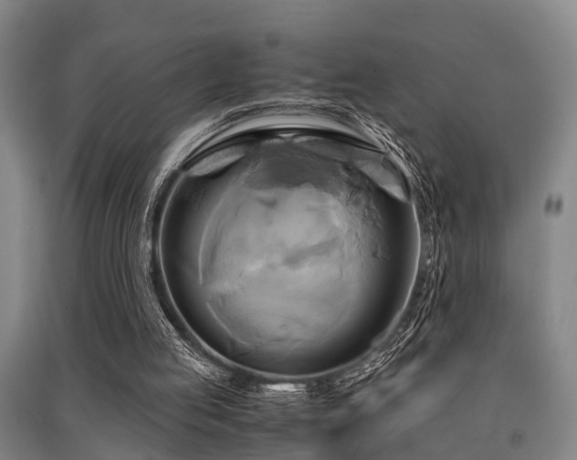 X0000091500053200708161507