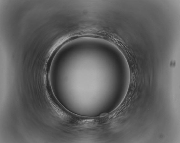 X0000091500054200708161507
