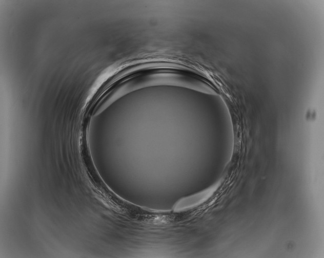 X0000091500056200708161507