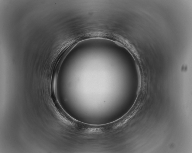 X0000091500057200708161507