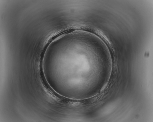 X0000091500058200708161507