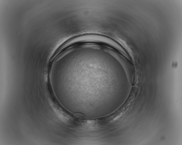 X0000091500060200708161507