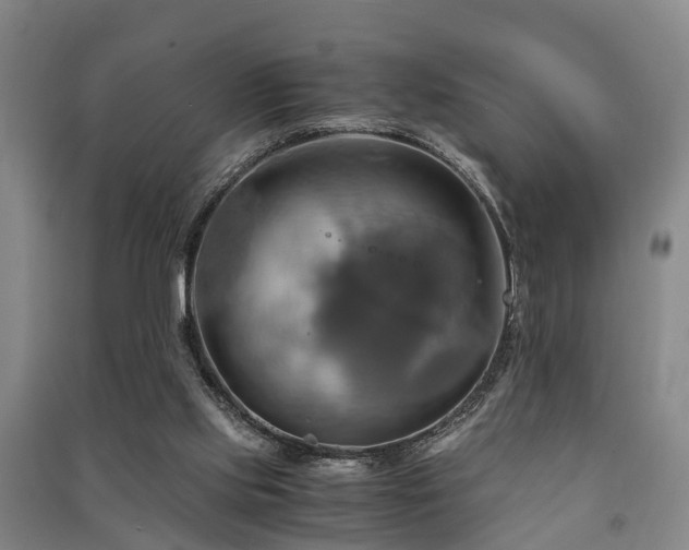 X0000091500061200708161507