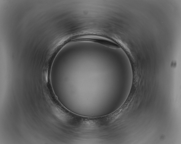 X0000091500062200708161507