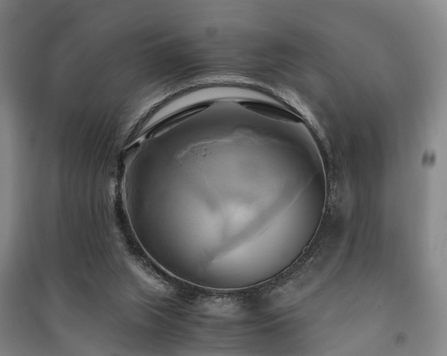 X0000091500063200708161507