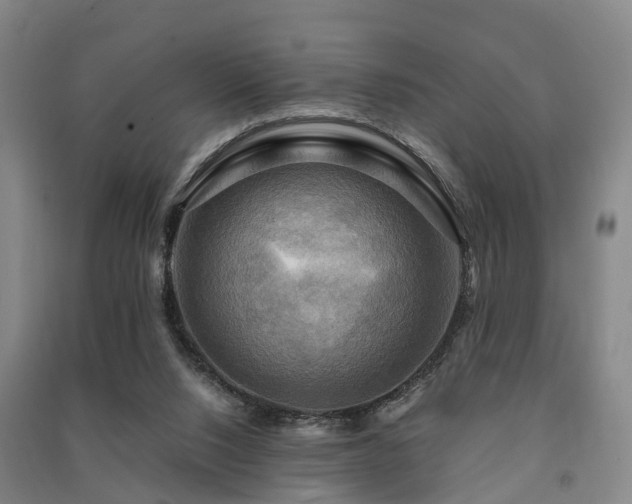 X0000091500064200708161507