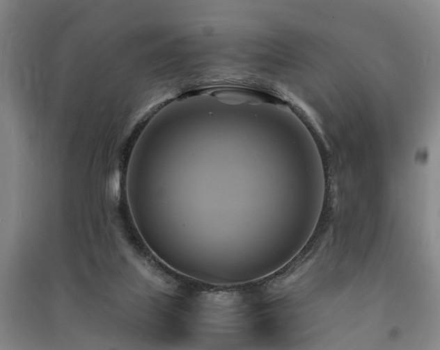 X0000091500067200708161507
