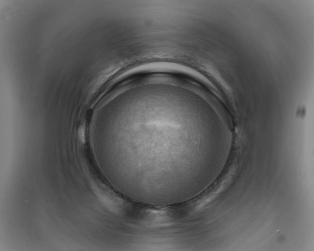 X0000091500068200708161507