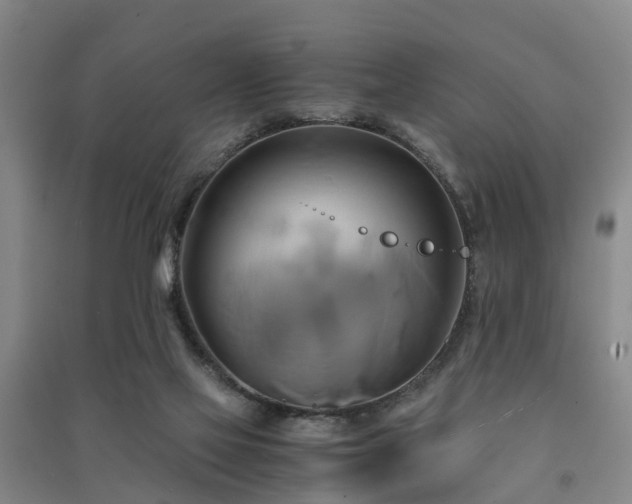 X0000091500069200708161507