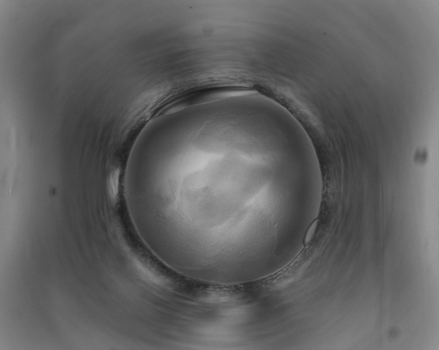 X0000091500070200708161507