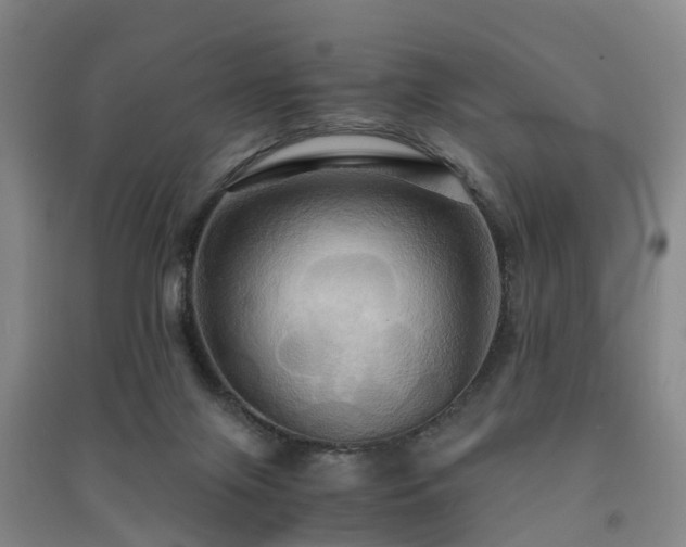X0000091500071200708161507