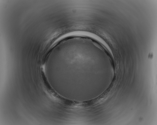 X0000091500072200708161507