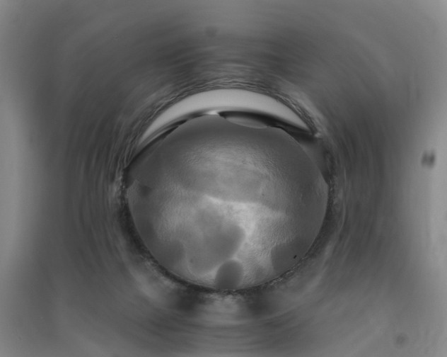 X0000091500073200708161507