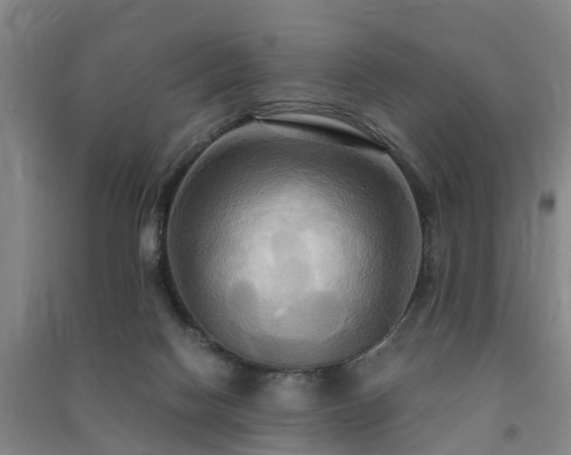 X0000091500074200708161507