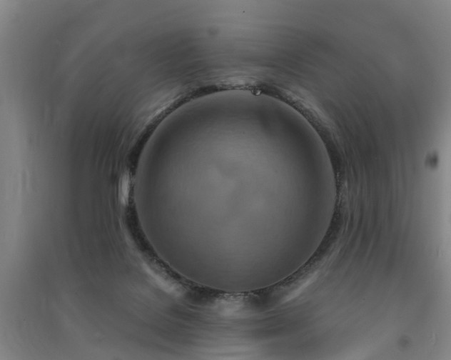 X0000091500076200708161507