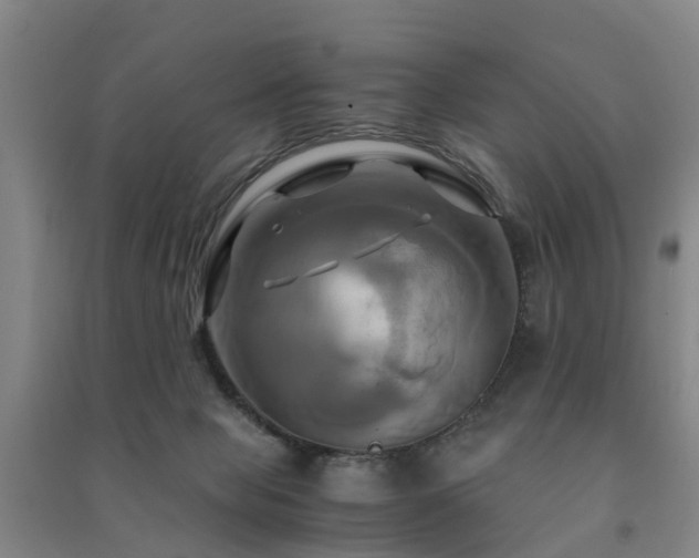 X0000091500077200708161507