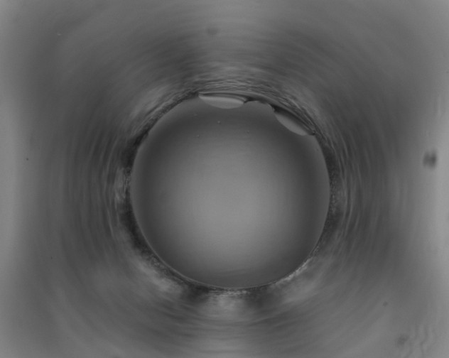 X0000091500078200708161507