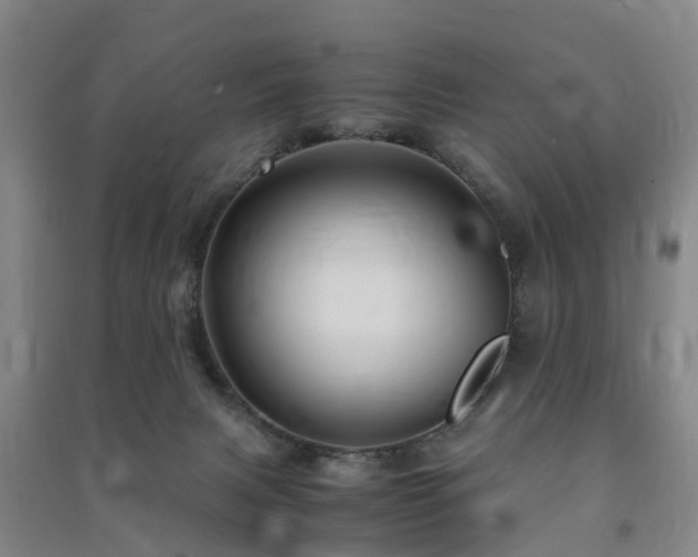 X0000091500079200708161507