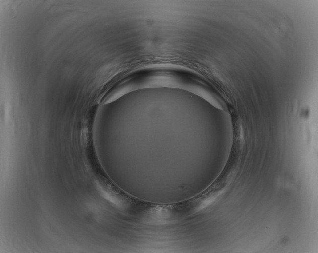 X0000091500080200708161507