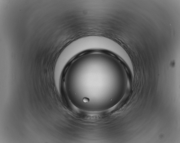X0000091500084200708161507